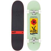 Arbor Daisy Complete Skateboard, 8.25