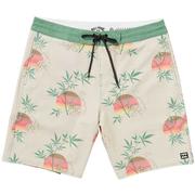 Billabong Sundays Lo Tide Boardshorts, 18.5